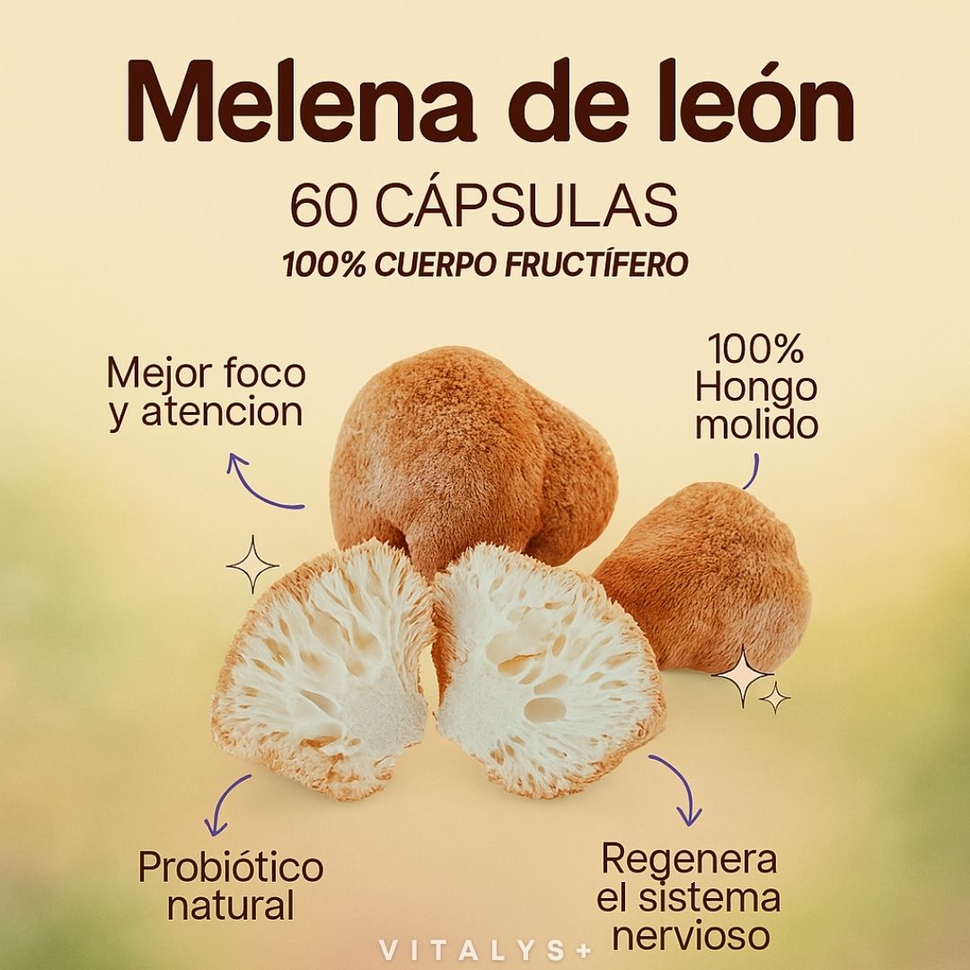 Melena de León - FORTIFICADA - 1000 MG - 60 CAPS