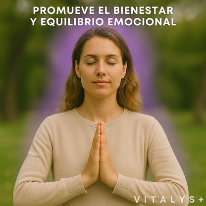 Melena de León - FORTIFICADA - 1000 MG - 60 CAPS